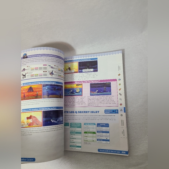 Pokemon Omega Ruby & Alpha Sapphire: The Official Hoenn Region Strategy - Picture 3 of 3